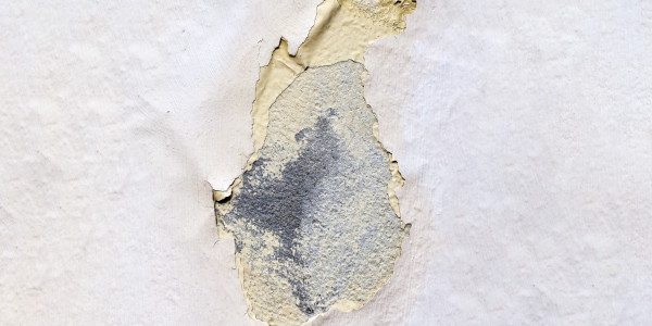Pintar Fachadas de Empresas / Negocios / Locales Comerciales Torrejón de la Calzada · Impermeabilización de Filtraciones de Agua y Humedad
