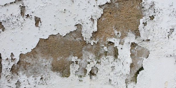 Pintar Fachadas de Empresas / Negocios / Locales Comerciales Torrejón de la Calzada · Pintura Antihumedad / Antimoho para Humedades / Moho