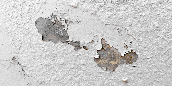 Pintar Fachadas de Naves Industriales, Fábricas y Almacenes Valdemoro · Pintura Antihumedad / Antimoho para Humedades / Moho