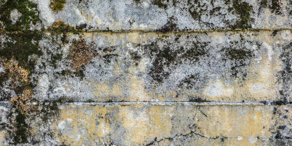 Pintar Fachadas y Patios de Luces de Comunidades Vecinos / Propietarios Cercedilla · Impermeabilización de Filtraciones de Agua y Humedad